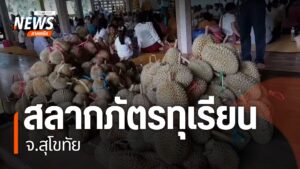 จังหวัดสุโขทัยนำทุเรียนเป็นลูกๆ-มาถวายให้พระ-ในช่วงงานบุญสลา