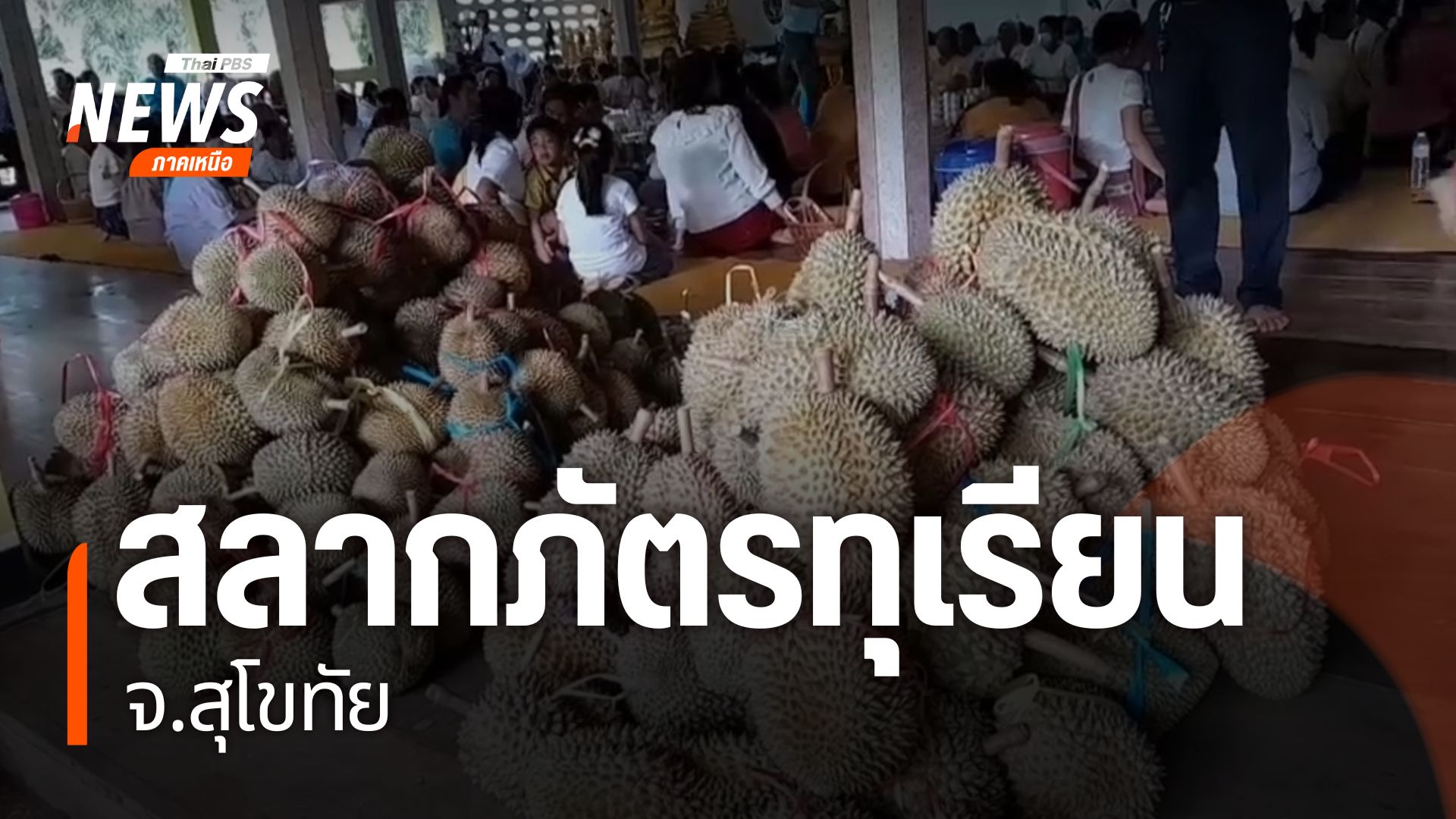 จังหวัดสุโขทัยนำทุเรียนเป็นลูกๆ-มาถวายให้พระ-ในช่วงงานบุญสลา