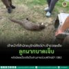 เจ้าหน้าที่สำนักอนุรักษ์สัตว์ป่า-เข้าช่วยเหลือลูกนากบาดเจ็บ