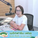 fm91-หน้าหนึ่งเช้านี้-:-dj-นันสินี-ศรีวังพล-:-ทุกวันจันทร์-อ-|-2025-07-01-23:30:00