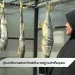 ตู้อบพลังงานแสงอาทิตย์เพิ่มมาตรฐานปลาเค็มชุมชน-จ.สงขลา-ข่าว