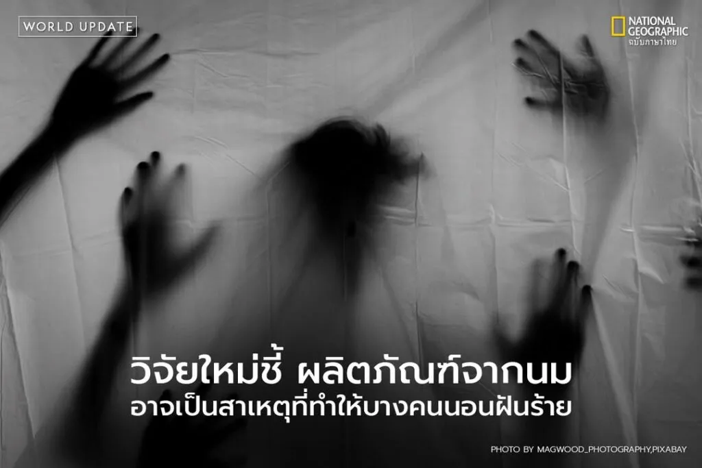 ผลการวิจัยที่เผยแพร่ในวารสาร-frontiers-in-psychology-เมื่อ-2