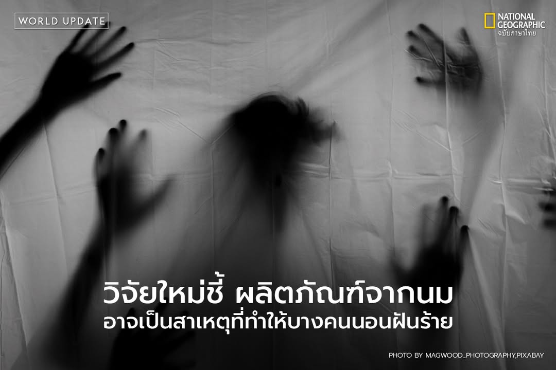 ผลการวิจัยที่เผยแพร่ในวารสาร-frontiers-in-psychology-เมื่อ-2