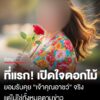 เปิดใจ-ดอกไม้-ครั้งแรก