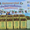 or-–-พาณิชย์-ช่วยเหลือเกษตรกร-เดินหน้าเชื่อมโยงรับซื้อมังคุดใต้-สร้างรายได้สู่ชุมชน