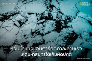 นักวิจัยจากมหาวิทยาลัยเซาแธมป์ตัน-วิเคราะห์ข้อมูลจากดาวเทียม