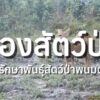 ชมเหล่าสัตว์ป่าในทุ่งกบาลกะไบ-ผ่านกล้องดักถ่ายจาก-เขตรักษาพ