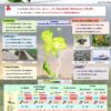 2025-07-04-08:52:00-|-ข่าวสารจากกรุมอุตุนิยมวิทยา