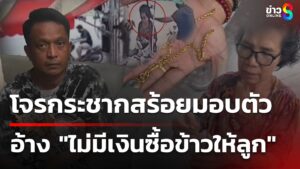 โจรกระชากสร้อยทองมอบตัว-อ้างไม่มีเงินให้ลูก-|-5-ก.ค
