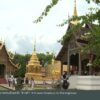 สำรวจยังไม่พบ-นักท่องเที่ยวใช้สิทธิเที่ยวไทยคนละครึ่งโรงแรมภาคเหนือ-(