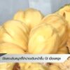 เปิดสวนชิมสมูทตี้จำปาดะ-เดินหน้าขึ้น-gi-เมืองสตูล-ข่าวที่คุ