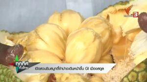 เปิดสวนชิมสมูทตี้จำปาดะ-เดินหน้าขึ้น-gi-เมืองสตูล-ข่าวที่คุ