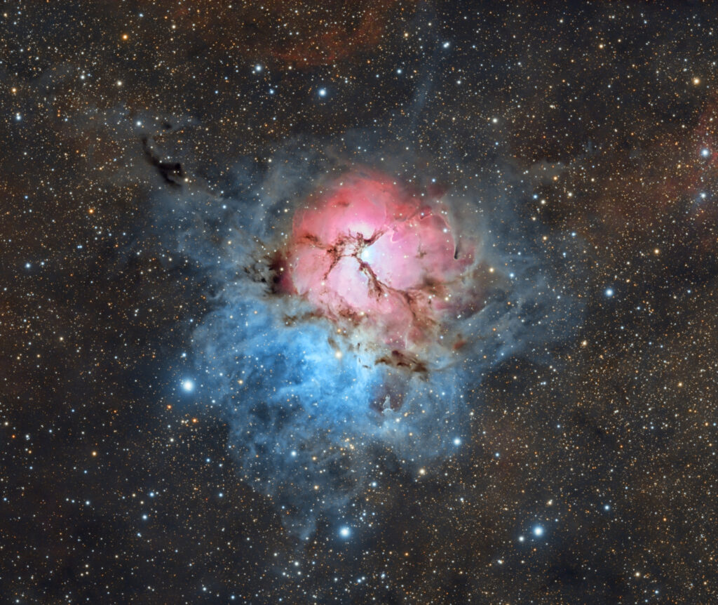 trifid-ที่สง่างาม