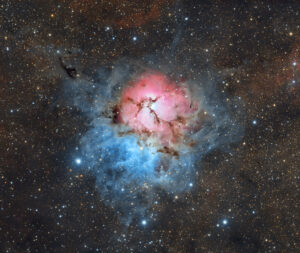 trifid-ที่สง่างาม