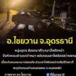 -อไชยวาน-จ.อุดรธานี-หนุ่มอุดร-ขับรถเก๋งมาดีๆ-หมาแลนตัดหน้า