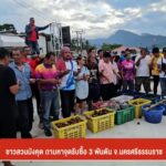 ชาวสวนมังคุด-ถามหาจุดรับซื้อ-3-พันตัน-จ.นครศรีธรรมราช-#thaip