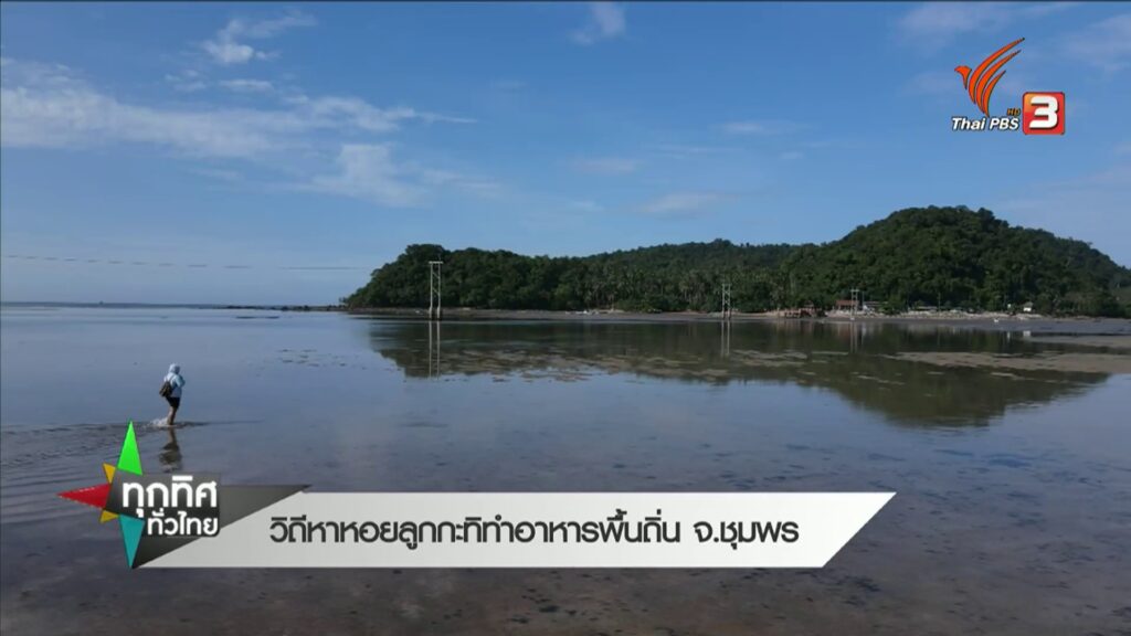 วิถีหาหอยลูกกะทิทำอาหารพื้นถิ่น-จ.ชุมพร--#th