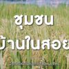 pr-content-ครั้งหนึ่ง…ผู้คนที่นี่เคยตั้งคำถามว่า-ปลูกป่