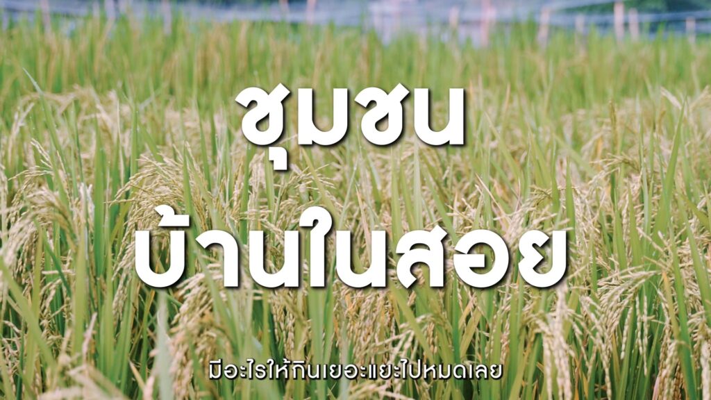 pr-content-ครั้งหนึ่ง…ผู้คนที่นี่เคยตั้งคำถามว่า-ปลูกป่