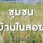 pr-content-ครั้งหนึ่ง…ผู้คนที่นี่เคยตั้งคำถามว่า-ปลูกป่