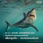 งานวิจัยล่าสุดที่ตีพิมพ์ในวารสาร-conservation-biology-เผยให้