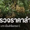 หลังมีการวิพากษ์วิจารณ์ทางสื่อออนไลน์-เรื่องราคาลำไย-ที่จังห