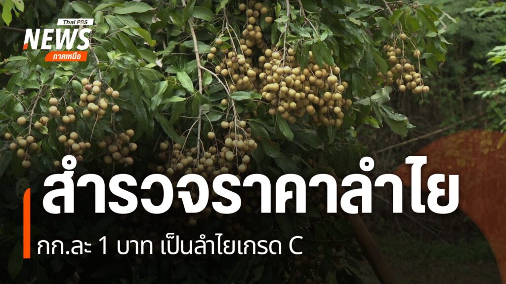 หลังมีการวิพากษ์วิจารณ์ทางสื่อออนไลน์-เรื่องราคาลำไย-ที่จังห