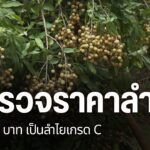 หลังมีการวิพากษ์วิจารณ์ทางสื่อออนไลน์-เรื่องราคาลำไย-ที่จังห