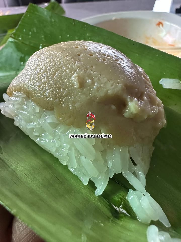 ข้าวปั้นของไทย-พอดีคำ-มาขายทุกเช้า-หน้าหมู่บ้านบูรพาซิตี้-(-|-2025-07-14-10:29:00