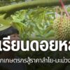 ที่จังหวัดเชียงใหม่-มีเกษตรกรคนรุ่นใหม่-ที่กลับบ้านไปสานต่ออ