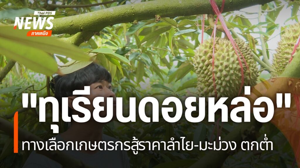 ที่จังหวัดเชียงใหม่-มีเกษตรกรคนรุ่นใหม่-ที่กลับบ้านไปสานต่ออ