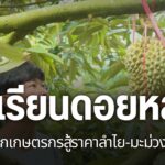 ที่จังหวัดเชียงใหม่-มีเกษตรกรคนรุ่นใหม่-ที่กลับบ้านไปสานต่ออ