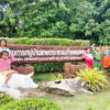 ไม่กังวล-ท่วม-แล้ง-มีธนาคารน้ำใต้ดินช่วย…สร้างโมเดลบริหารจัดการน้ำของเกษตรกร