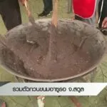 ชาวบ้านรวมตัว-“กวนขนมอาซูรอ”-จ.สตูล--#thaipb