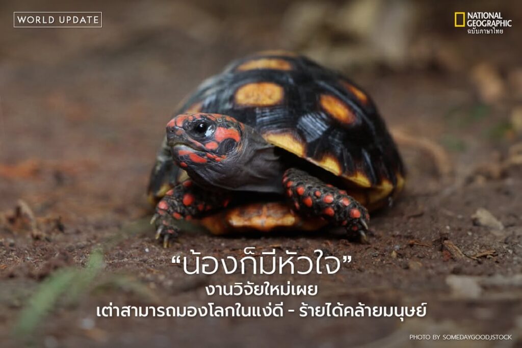งานวิจัยล่าสุดจากมหาวิทยาลัยลินคอล์น-ประเทศอังกฤษ-เปิดเผยว่า