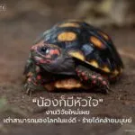 งานวิจัยล่าสุดจากมหาวิทยาลัยลินคอล์น-ประเทศอังกฤษ-เปิดเผยว่า