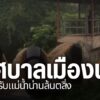 ฝนที่ตกหนักสะสมทำให้แม่น้ำสายหลักในภาคเหนือมีระดับเพิ่มสูงขึ
