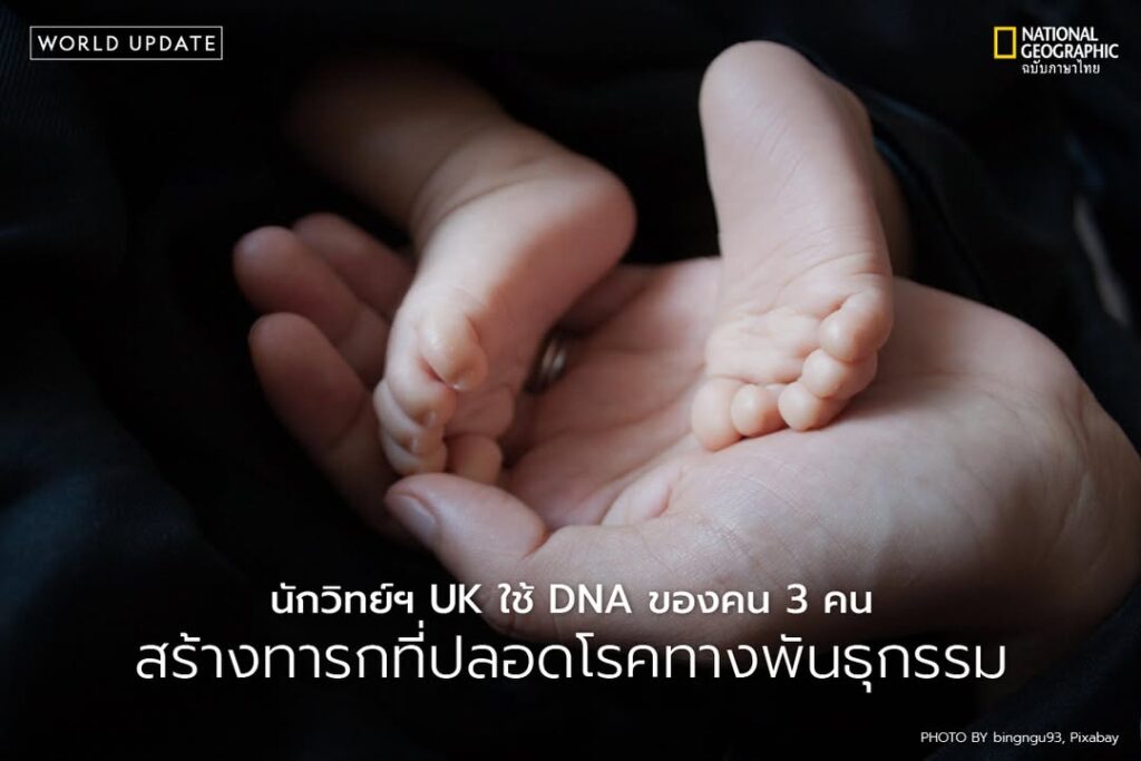 สหราชอาณาจักรเผยความสำเร็จของเทคโนโลยีเด็กหลอดแก้ว-รูปแบบใหม