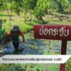 โคกหนองนา-แหล่งอาหารเรียนรู้อารยเกษตร-จ.ตรัง-ข่าวที่คุณวางใ
