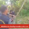 ตัดโค่นพืชกระท่อม-ต้นตอปัญหายาเสพติด-อรามัน-จ.ยะลา-ข่าวที่