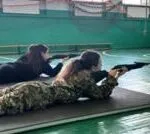 เด็กยูเครนในดินแดนที่รัสเซียยึดครองกำลังถูกล้างสมองให้รักรัสเซียด้วยวิธีใด-?