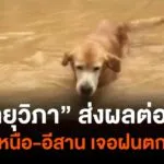 ผลจาก-“พายุวิภา”-ภาคเหนือ-อีสาน-ฝนตกหนัก-“น่าน”-อาจเจอฝนกว่า