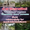 ลานสนภูสอยดาว-อุทยานแห่งชาติภูสอยดาว-จ.อุตรดิตถ์-และน้ำตกตาด