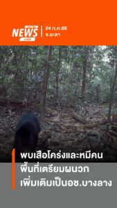 เผยภาพเสือโคร่งและหมีคน-ในพื้นที่เตรียมผนวกเพิ่มเติมเป็นอุทย