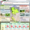 2025-07-25-08:24:00-|-ข่าวสารจากกรุมอุตุนิยมวิทยา