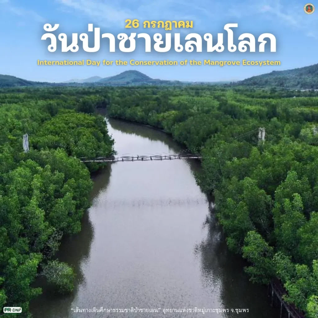 26-กรกฎาคม-“วันป่าชายเลนโลก”-(worldwide-day-for-the-cons