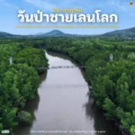 26-กรกฎาคม-“วันป่าชายเลนโลก”-(worldwide-day-for-the-cons