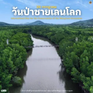 26-กรกฎาคม-“วันป่าชายเลนโลก”-(worldwide-day-for-the-cons