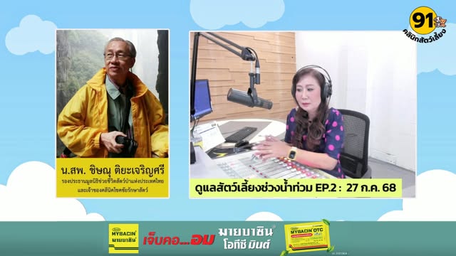 ดูแลสัตว์เลี้ยงช่วงน้ำท่วม-ep.2-:-fm91-คลินิกสัตว์เลี้ยง-:-2-|-2025-07-27-06:29:00