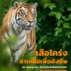 การล่า-ไม่ใช่ความโหดร้าย-แต่เพื่อความอยู่รอด-จะเลือกล่าเฉพาะ